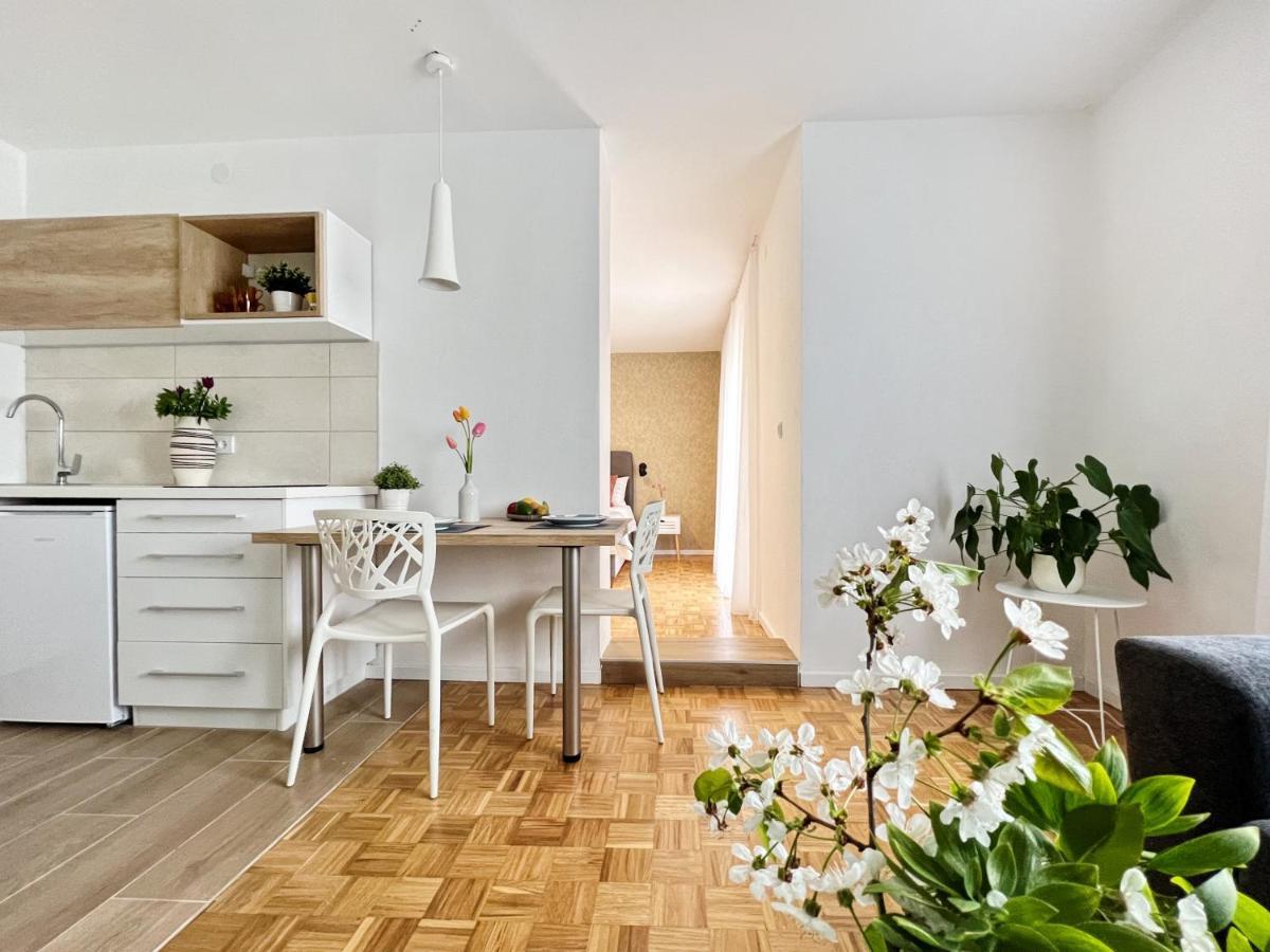 Apartments Valerian Novigrad  Exterior photo